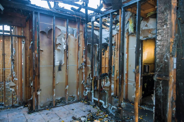 Professional Fire Damage Repair technician working in Alexandria, VA